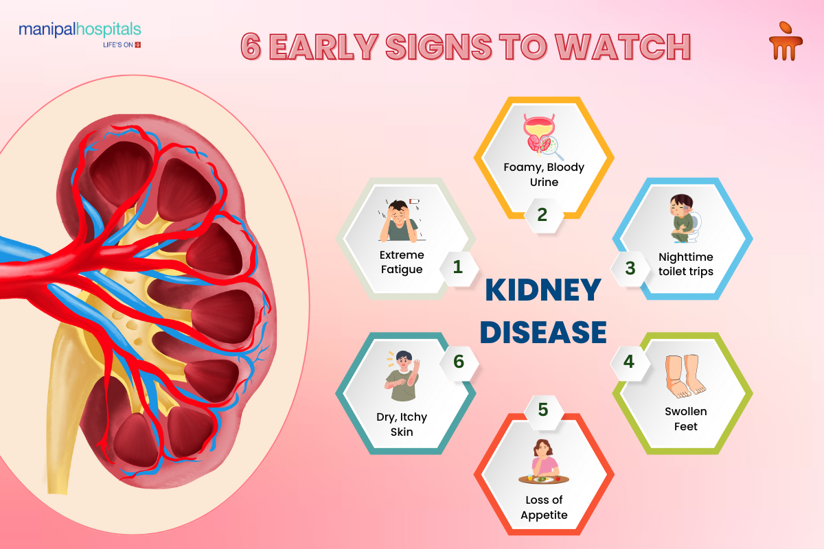Early Signs of Kidney Disease You Should Never Ignore