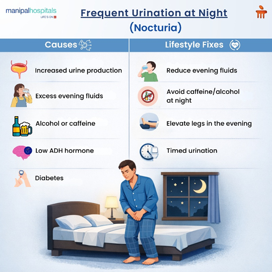 Frequent Urination at Night: Is It Just Ageing or Something More?