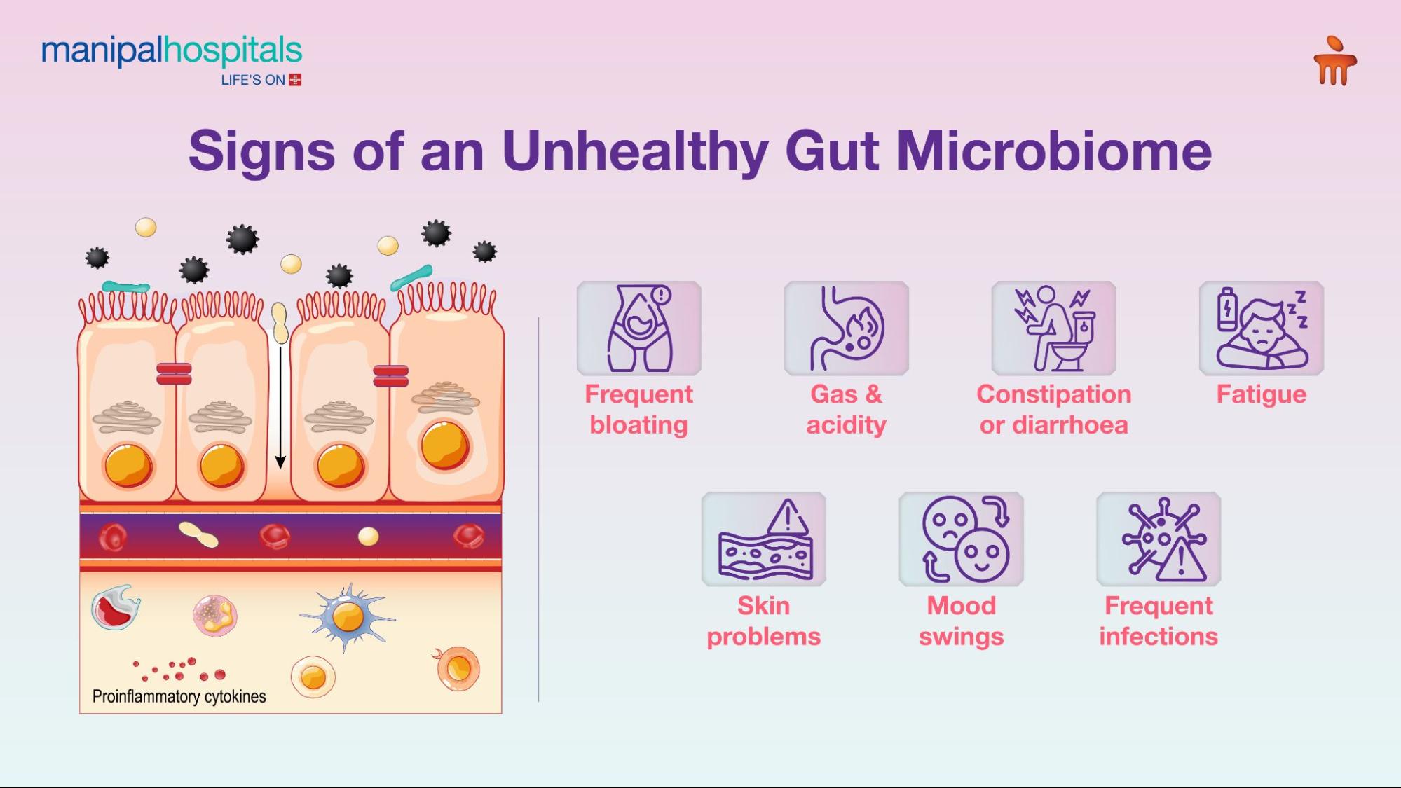gut microbiome