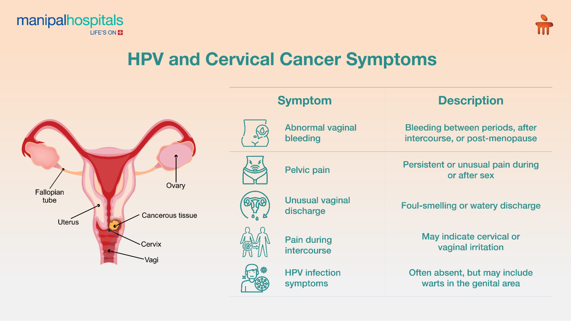 HPV and Cervical Cancer