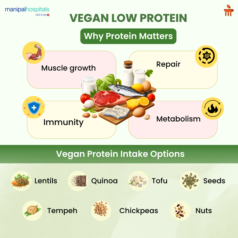 High-Protein Vegan Foods: Best Sources, Benefits | Medically Approved