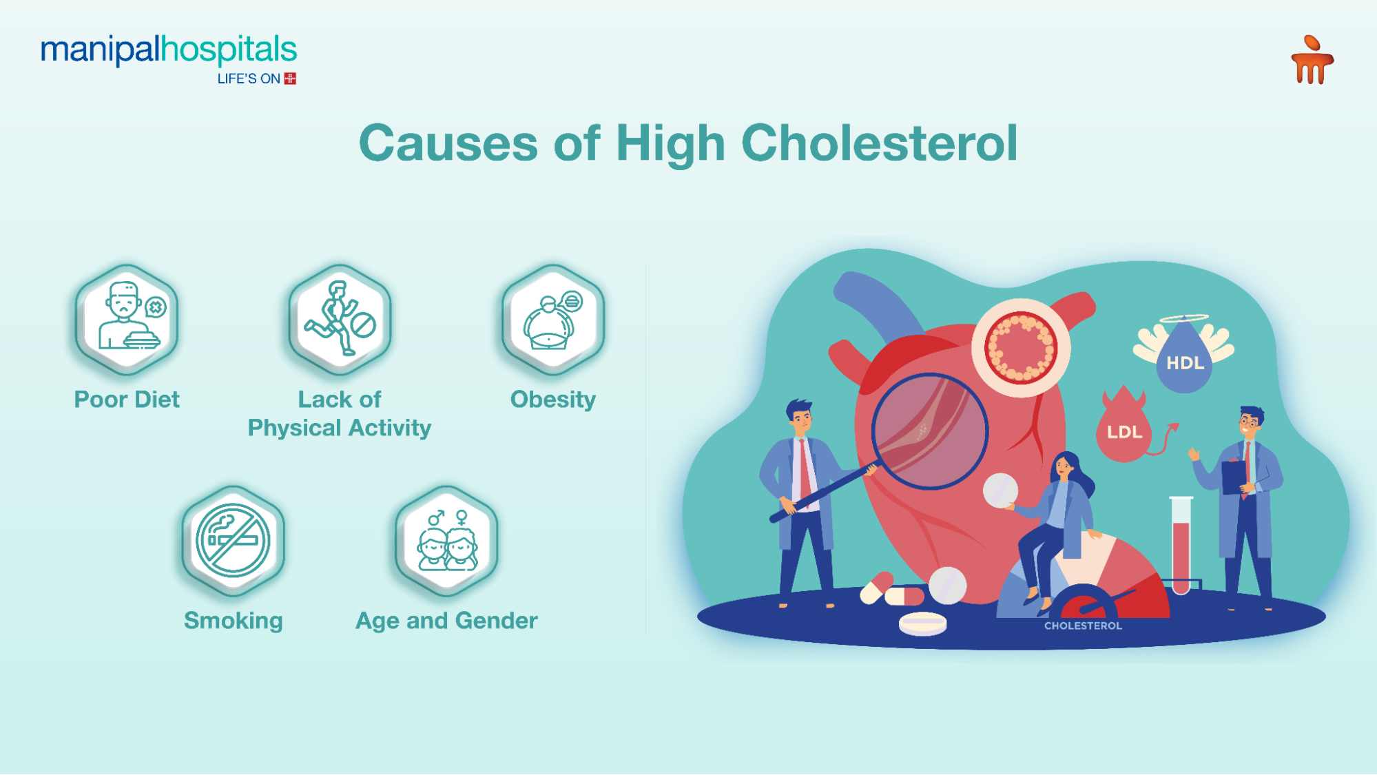 High Cholesterol and Heart Attack Risk Explained