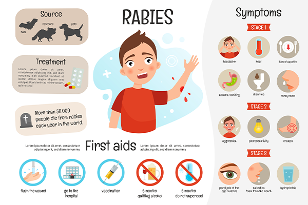 prevent-rabies-world-rabies-day-2025
