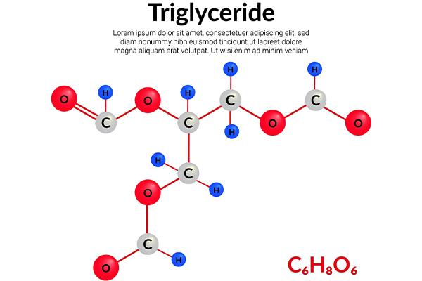 Reduce Triglycerides Naturally with Diet & Lifestyle Tips
