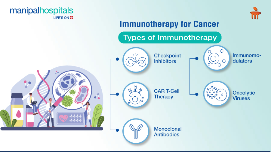 How Immunotherapy Works in Cancer Treatment Explained