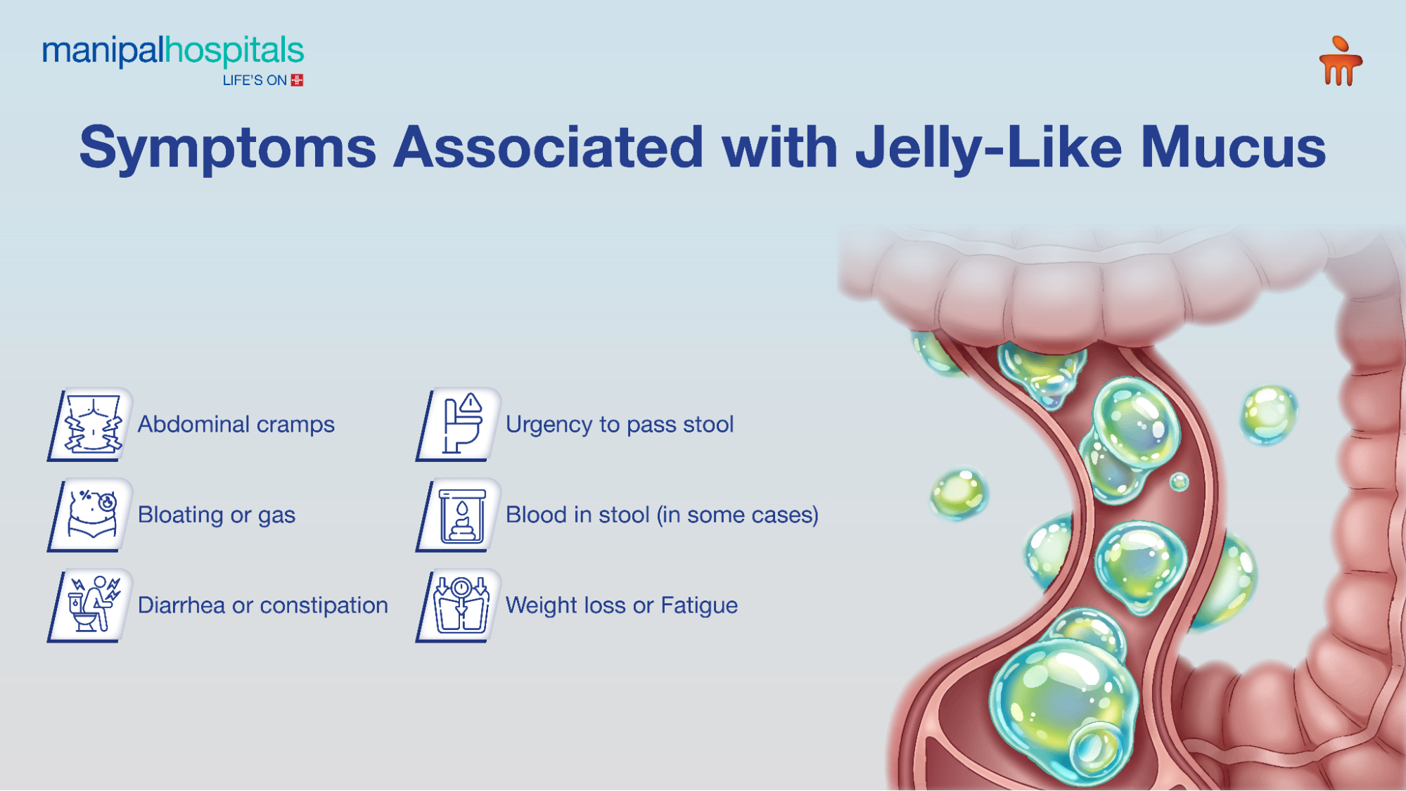 Jelly mucus digestive concern