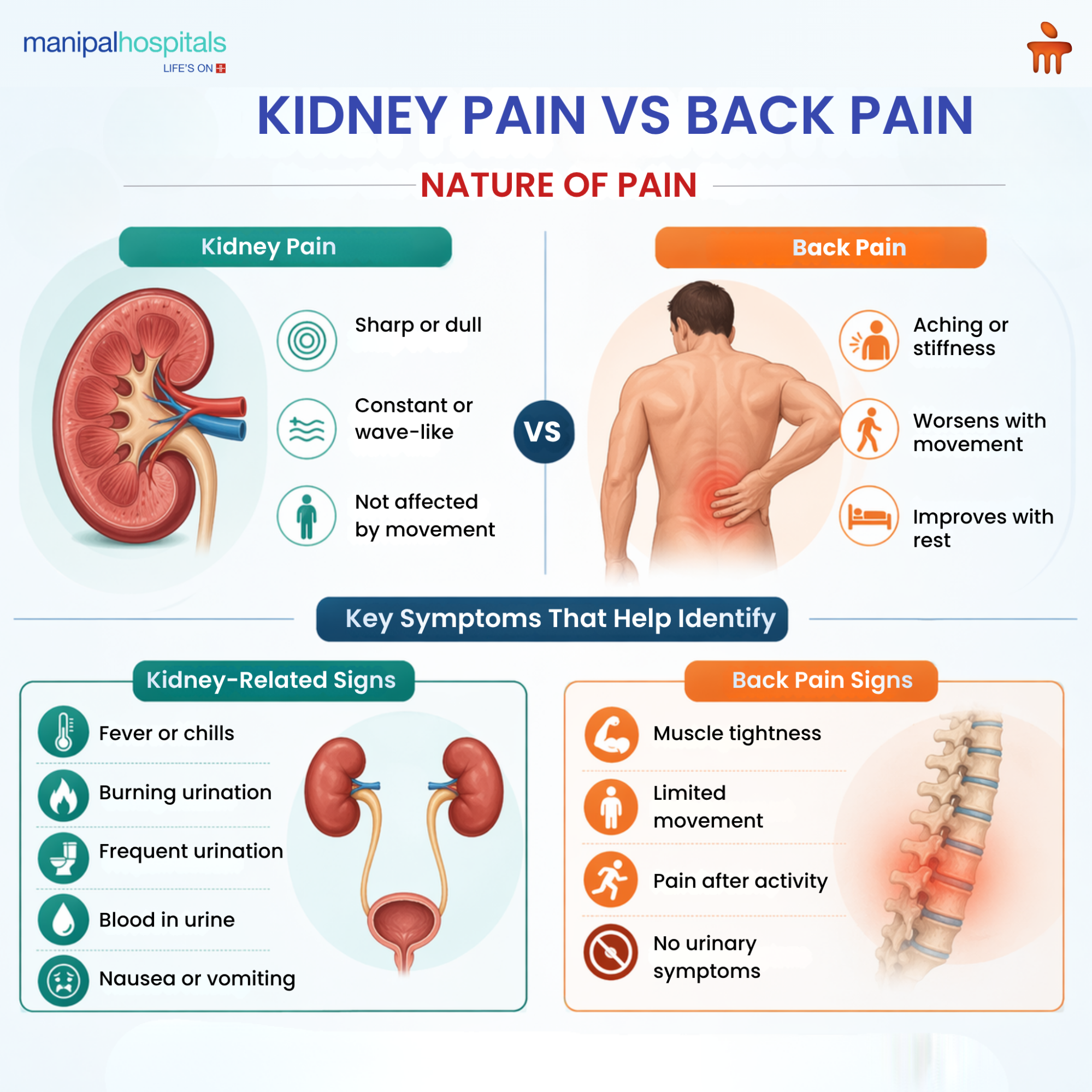 Kidney Pain vs Back Pain: How to Tell the Difference