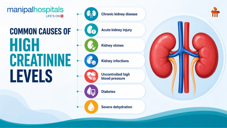 What Creatinine Level Indicates Kidney Failure? Doctors Explain