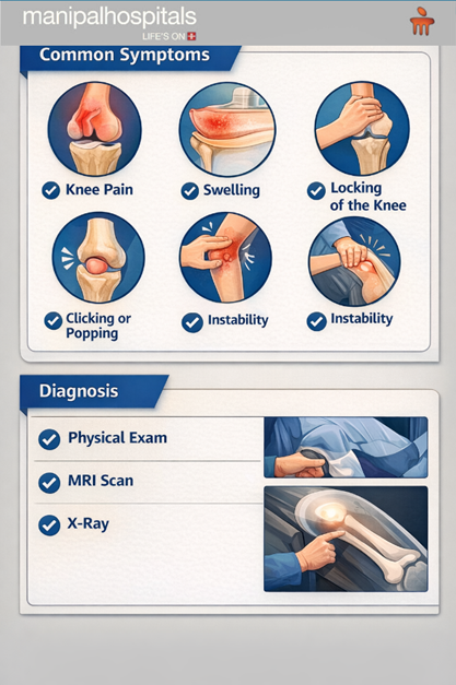 Knee injury signs and care