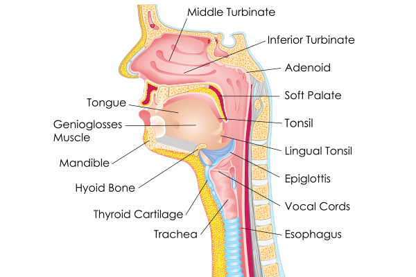 Natural Ways to Relieve a Sore Throat at Home
