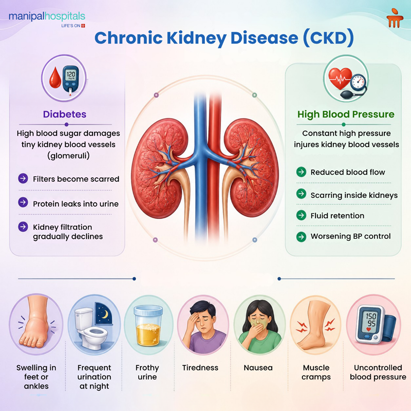 Chronic Kidney Disease in India: CKD Causes, Symptoms & Prevention