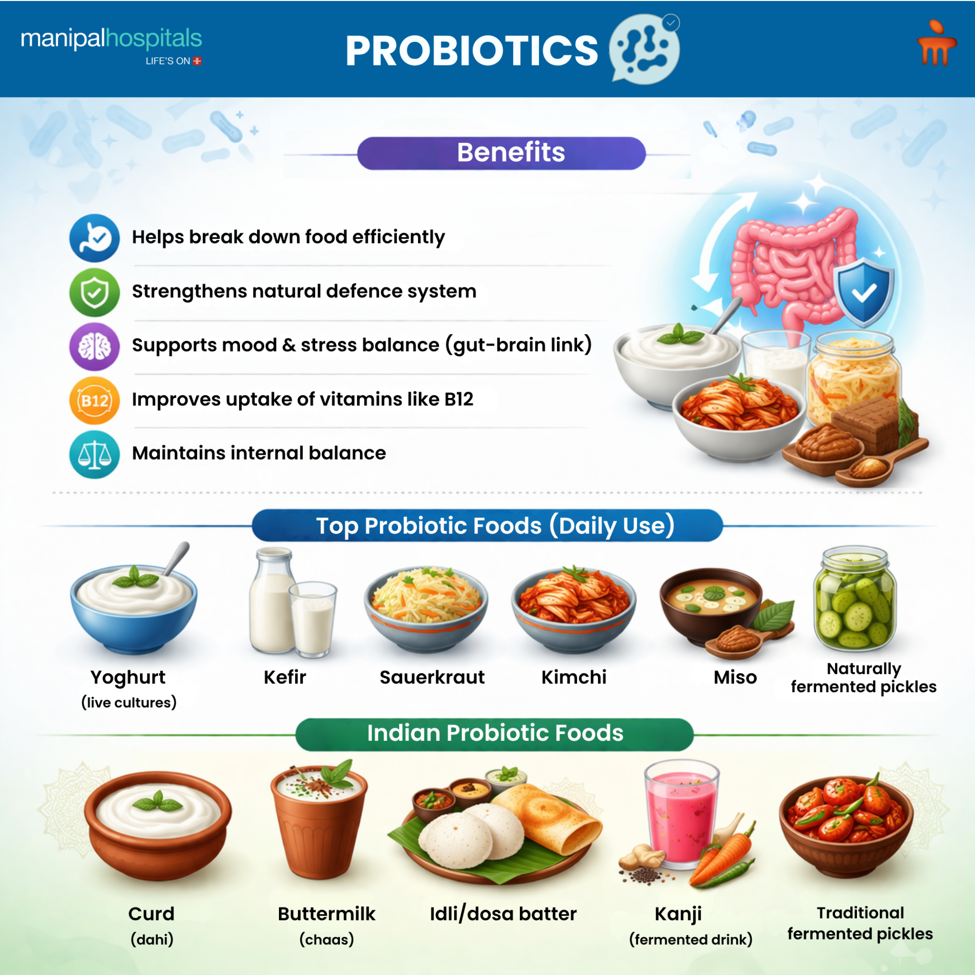 Probiotics Explained: What They Are, Why They Matter, and Where to Find Them