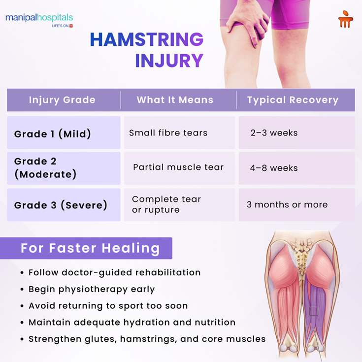 Hamstring Strain Recovery Time, Treatment & Fast Healing Tips