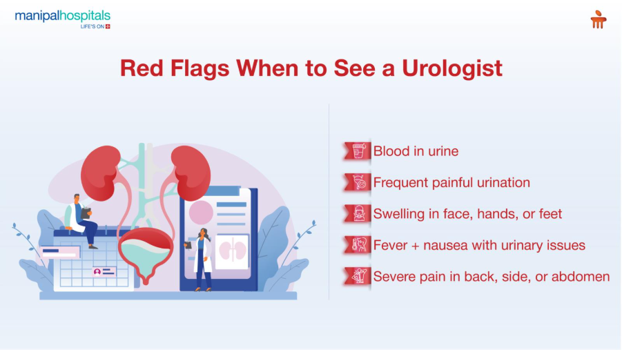 urinary-system-functions-signs-care-tips