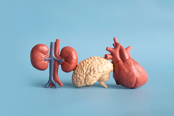 Signs of dehydration