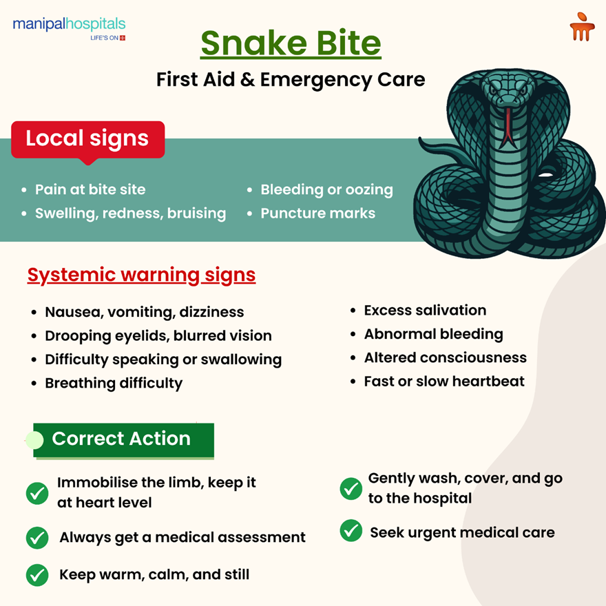 Snake bite medical guidance