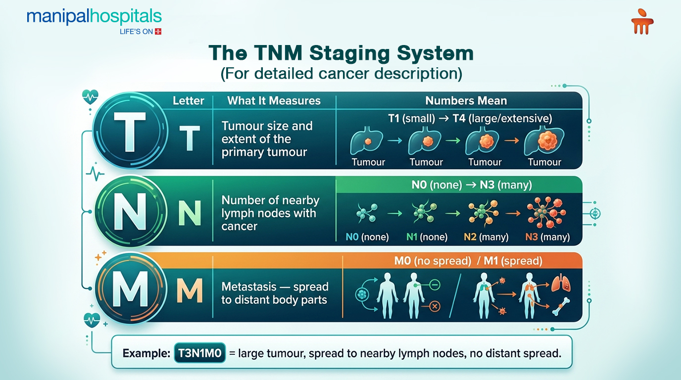 How Many Stages Of Cancer