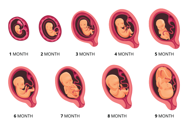 Top Gynaecologist in Patiala