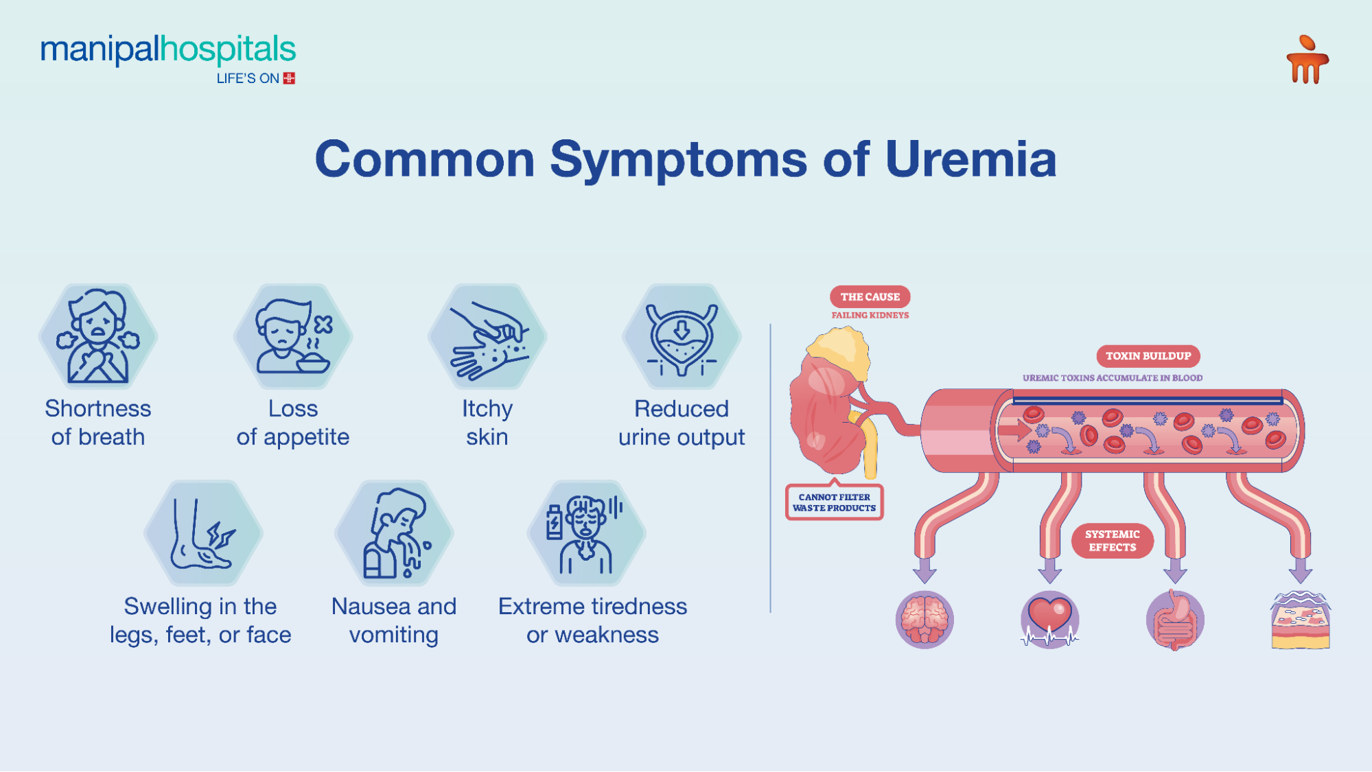 Uremia symptoms explained