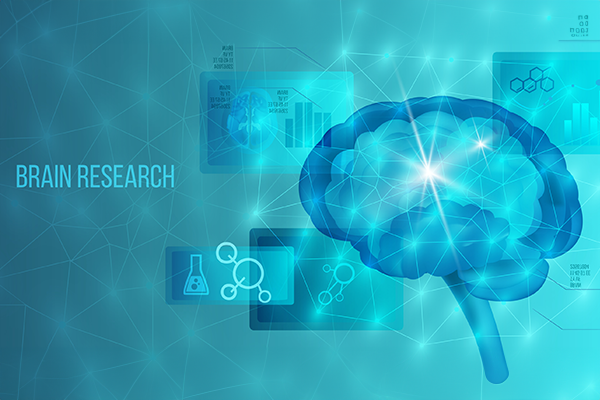 What is Neurosurgery? An Introduction to Brain and Spine Surgery