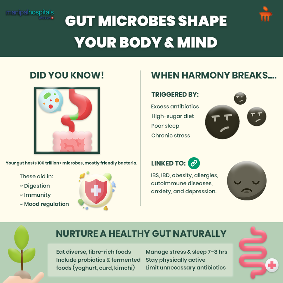 Your Gut, Your Guide: How Microbes Shape Your Body and Mind