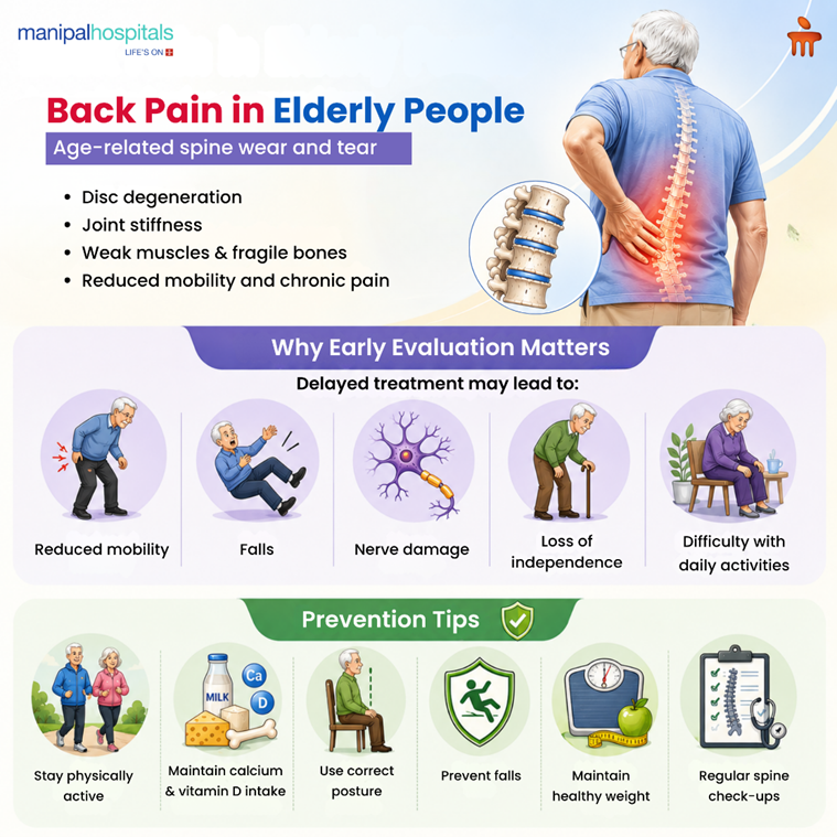 elderly-back-pain-causes-and-treatment