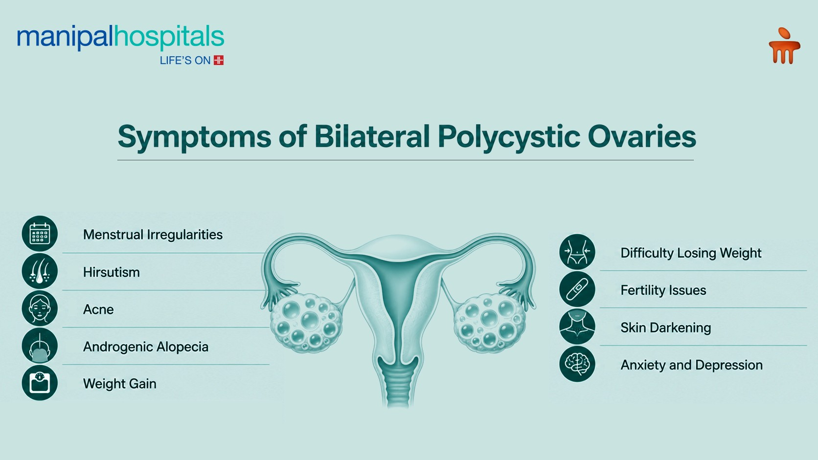 Polycystic ovary ultrasound image