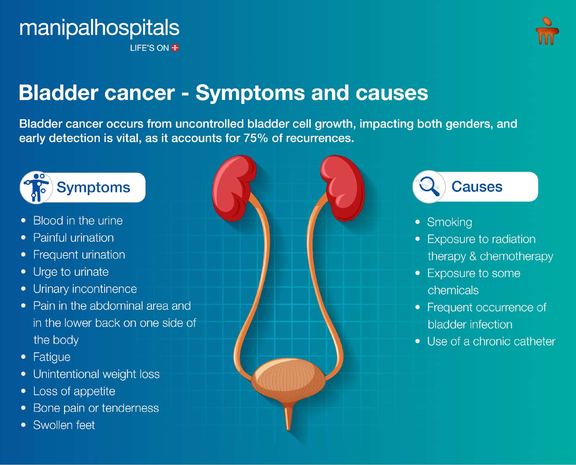 4 Causes of Bladder Pain