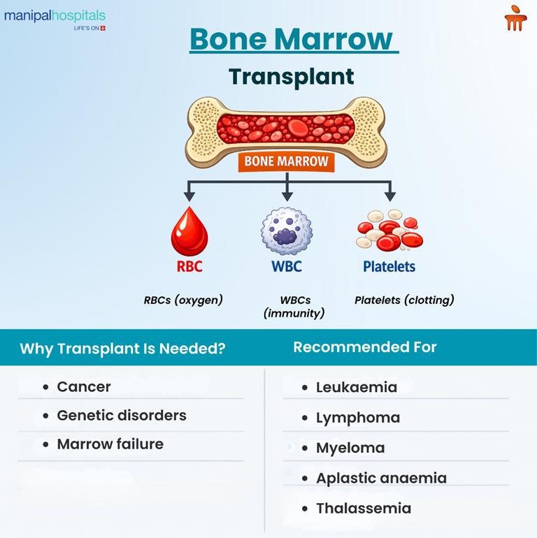 bone-marrow-transplant-blood-disorders