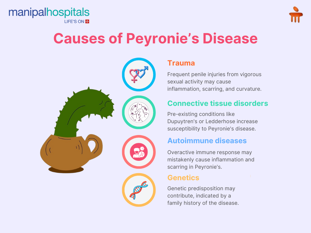 Peyronie's Disease: Causes, Symptoms, and Management