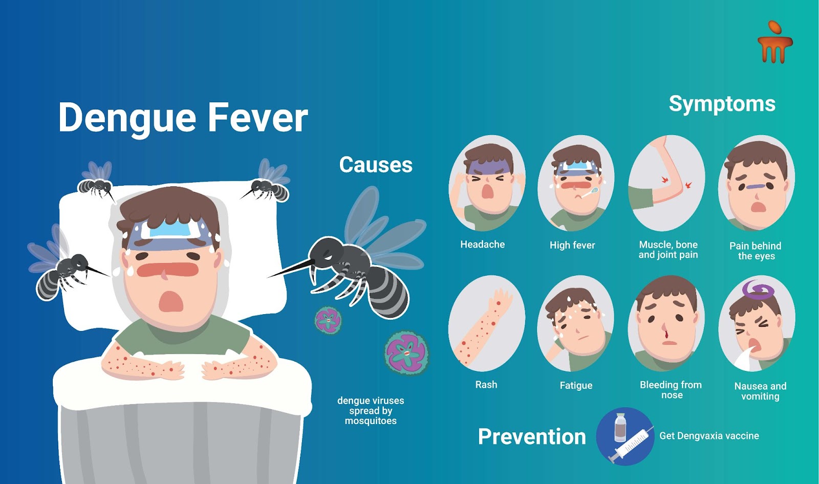 Everything You Need To Know About Dengue Fever