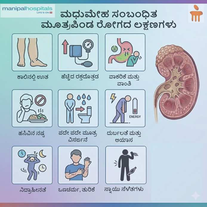 "ಮಧುಮೇಹ ನಿಮ್ಮ ಮೂತ್ರಪಿಂಡಗಳ ಮೇಲೆ ಹೇಗೆ ಪರಿಣಾಮ ಬೀರುತ್ತದೆ? ಆರಂಭಿಕ ಲಕ್ಷಣಗಳು ಮತ್ತು ಚಿಕಿತ್ಸೆ "