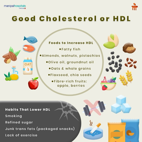 foods-that-increase-hdl-cholesterol-what-to-eat