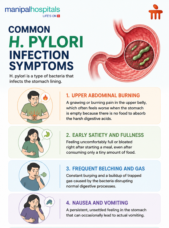 h-pylori-treatment-diet-and-care
