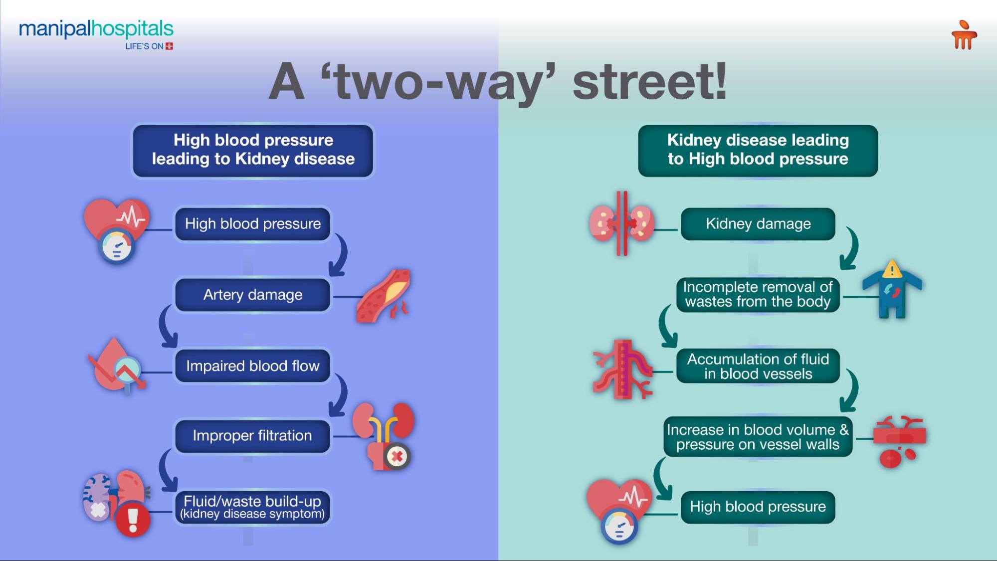 High blood pressure and kidney health connection