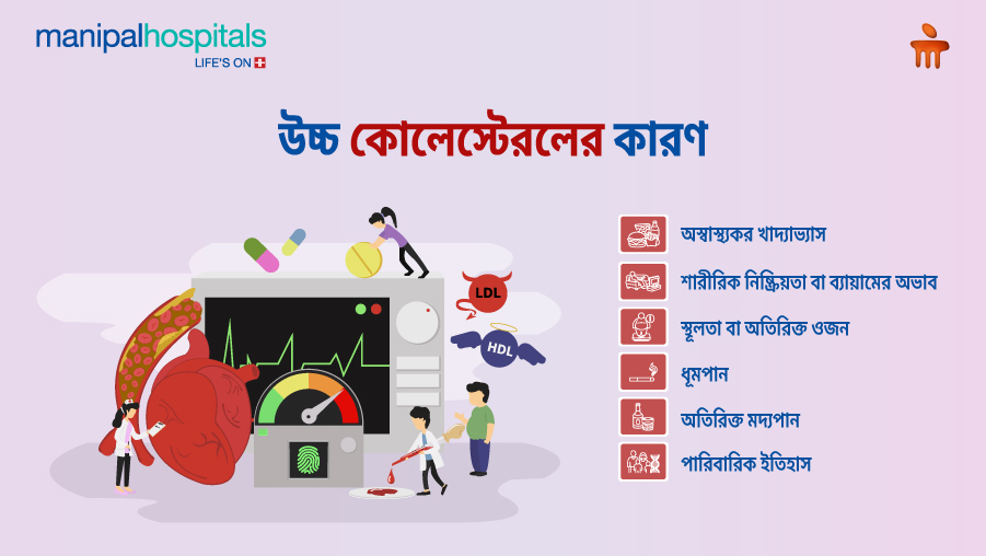 ৭ দিনে কোলেস্টেরল কমানোর উপায় | সহজ ও কার্যকর টিপস