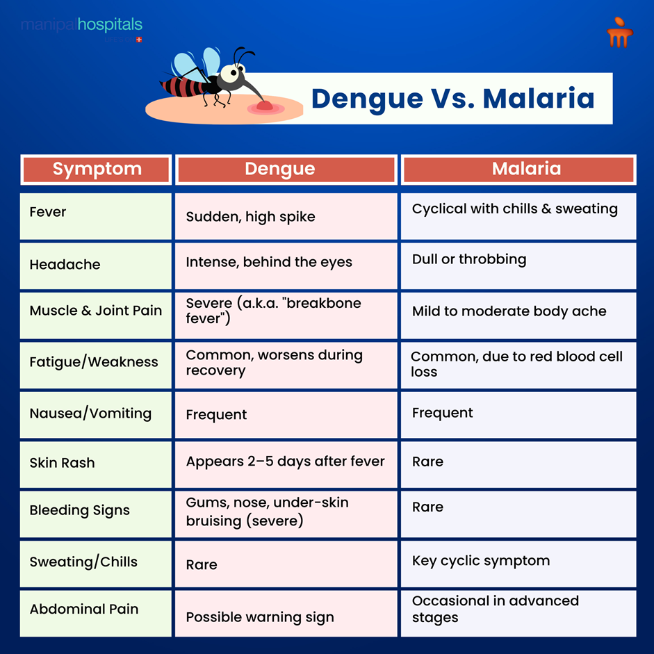 Stay Safe This Monsoon: Protect Your Family from Dengue and Malaria