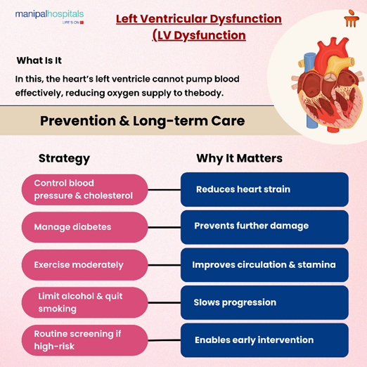 Left Ventricular Dysfunction (LV Dysfunction): Symptoms, Causes, Diagnosis, and Treatment