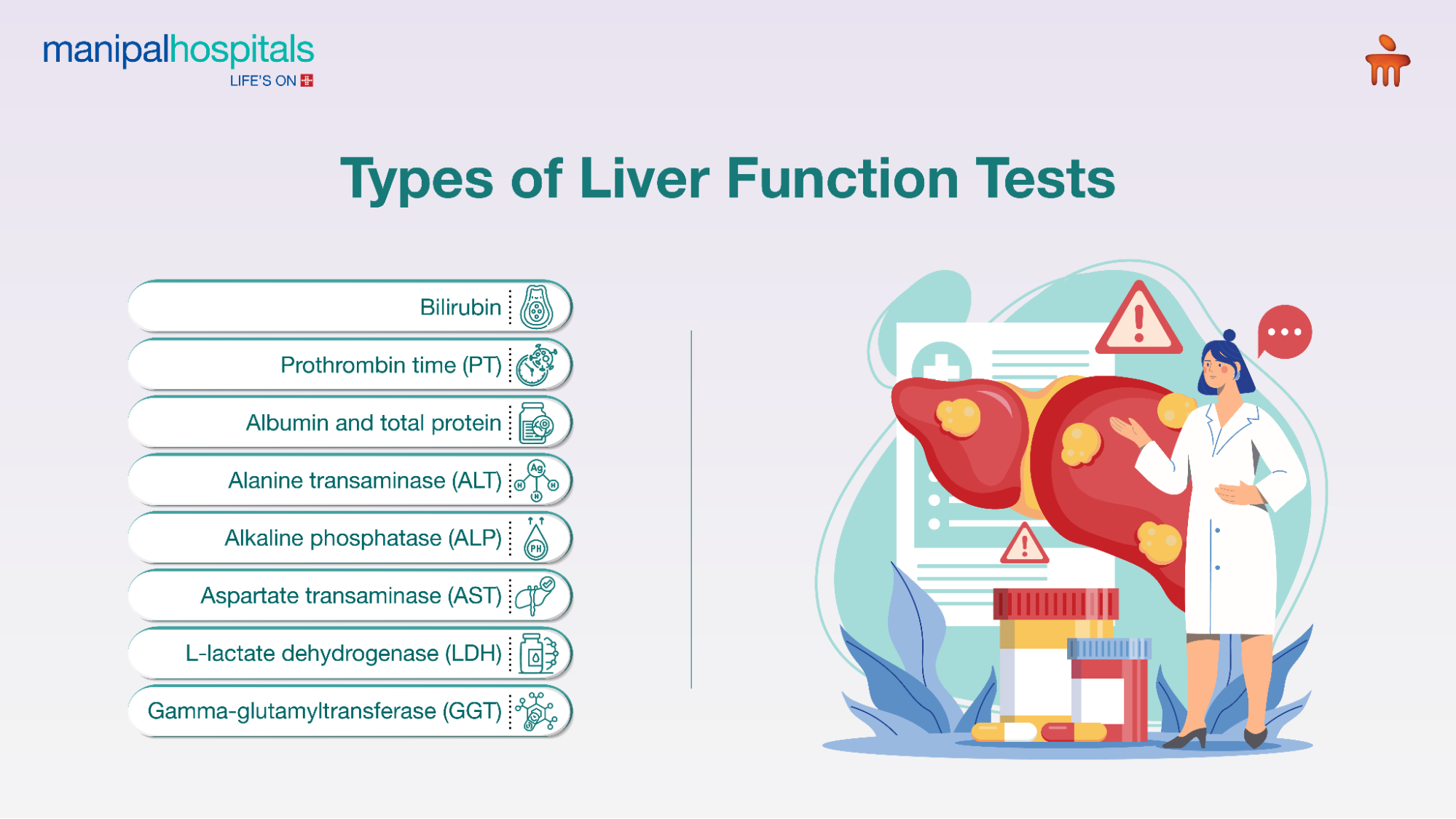 Understanding Liver Function Tests: Purpose, Types & Interpretation