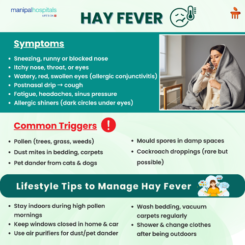 Hay Fever (Allergic Rhinitis) Symptoms, Causes, and Treatment Options