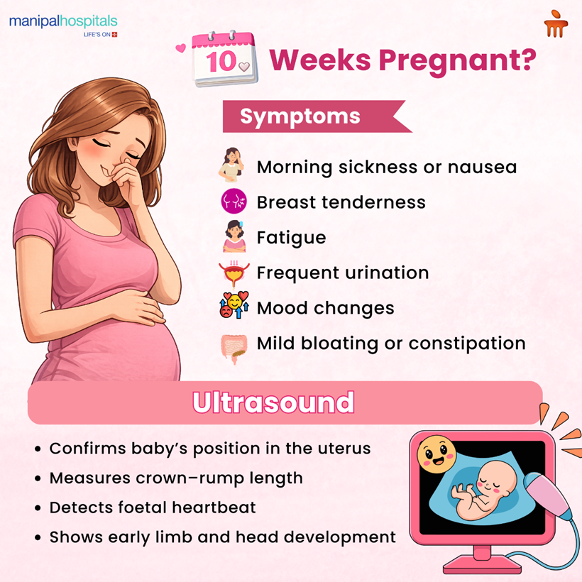 10 Weeks Pregnant: Your Baby’s Growth and the Changes You May Notice