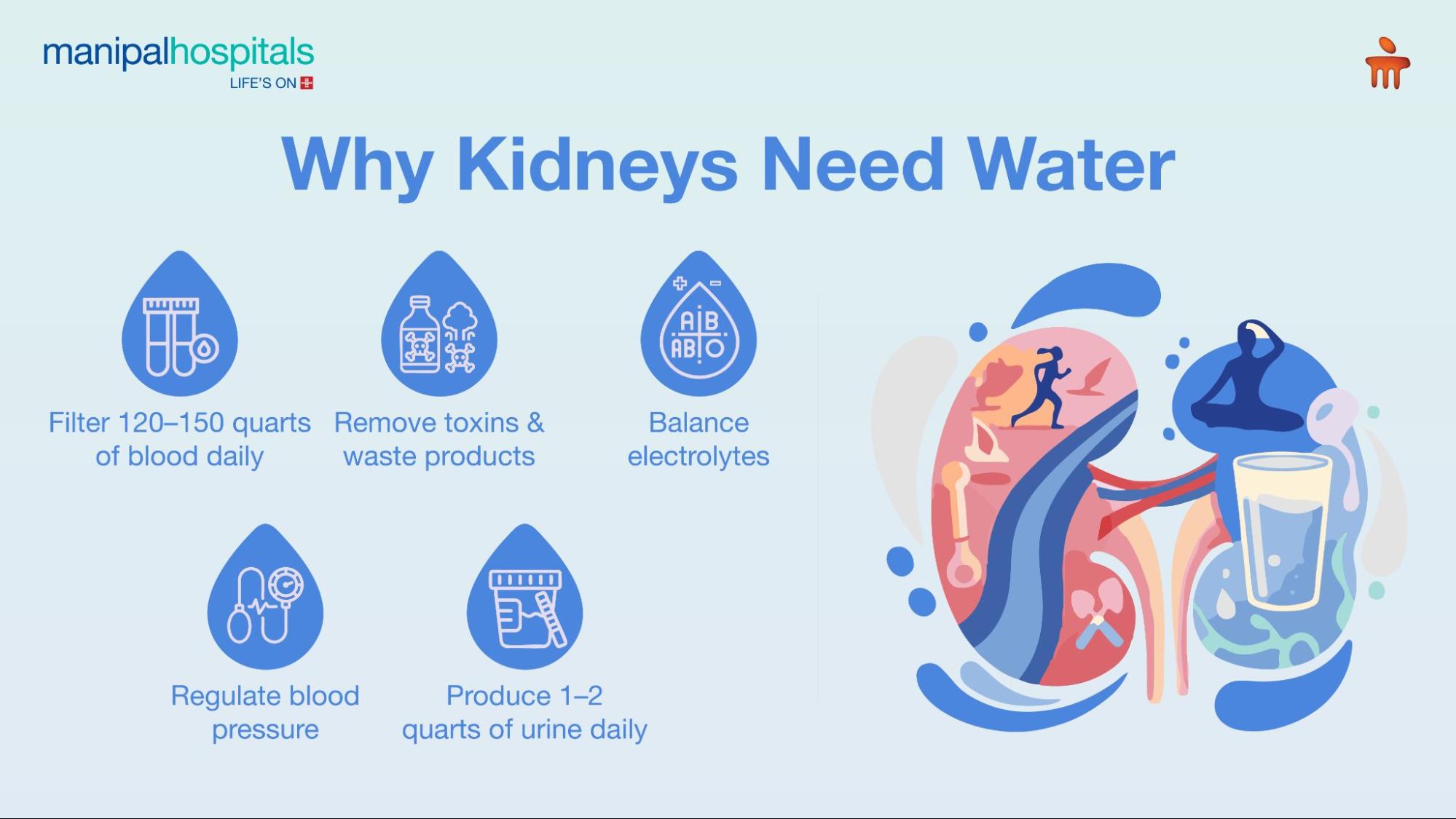How much water should I drink daily