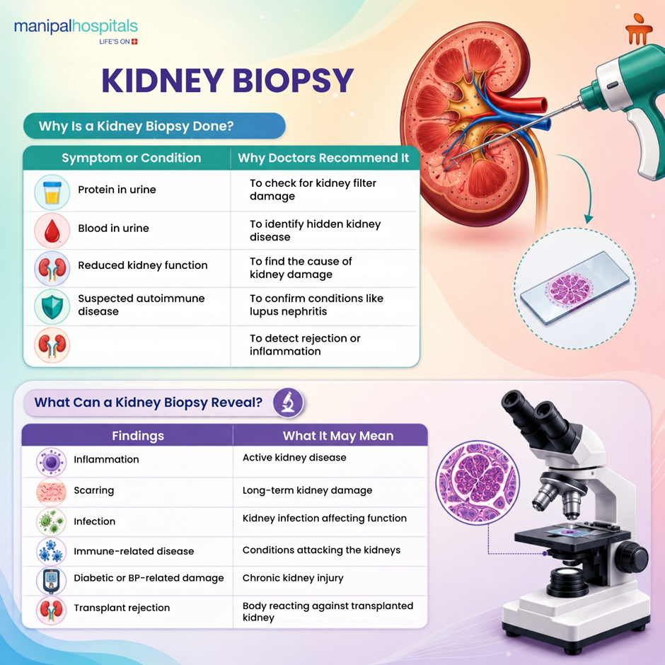 kidney-biopsy-patient-guide