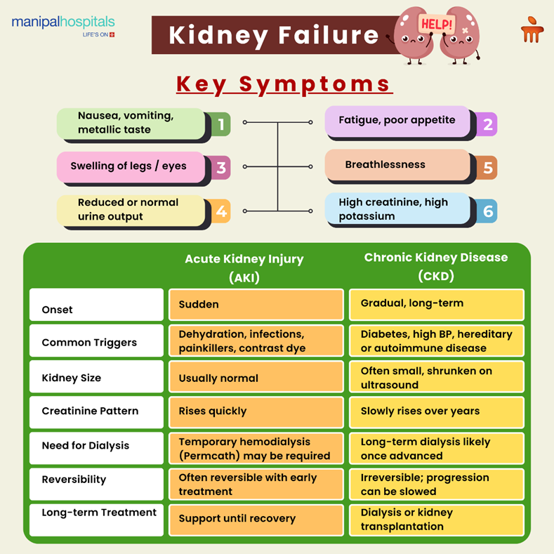 Kidney failure treatment options and recovery care