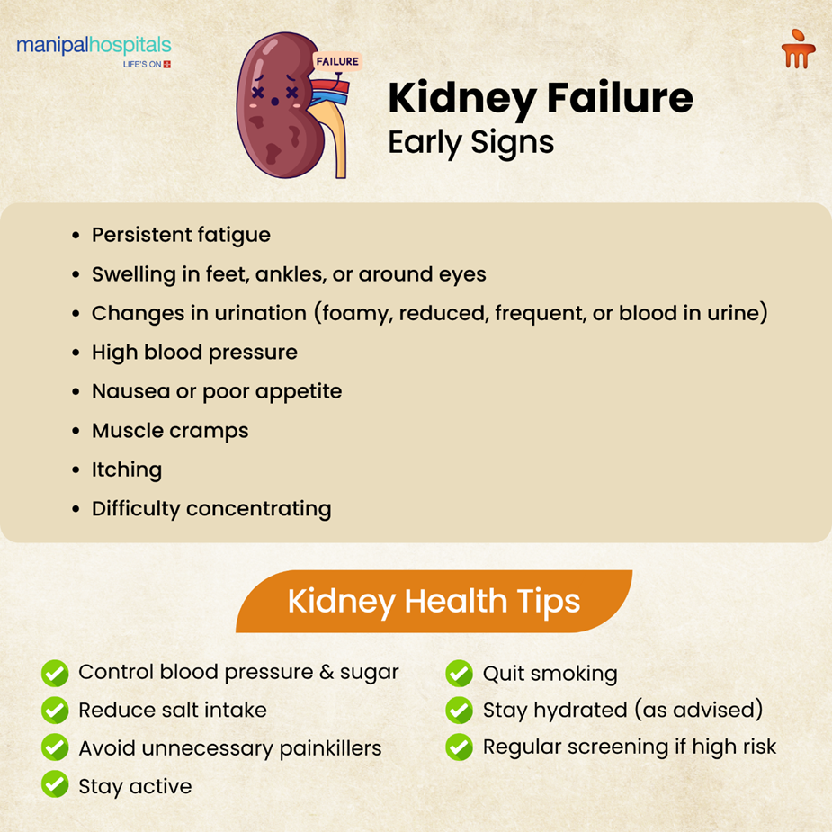 Kidney Failure: Symptoms, Causes, and Treatment Options Explained