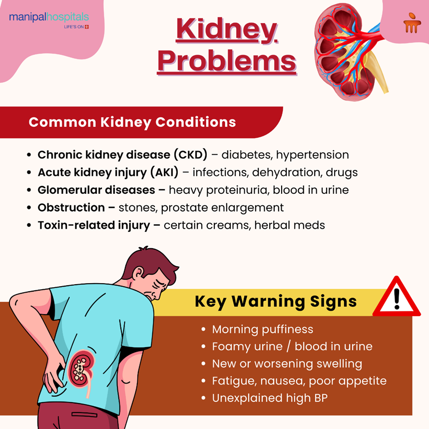Common kidney problems treated by a nephrologist