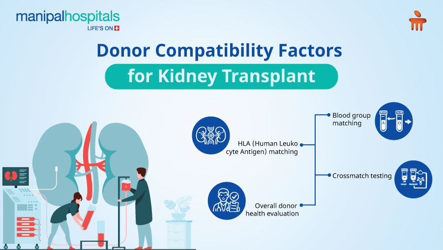 kidney transplant recovery time