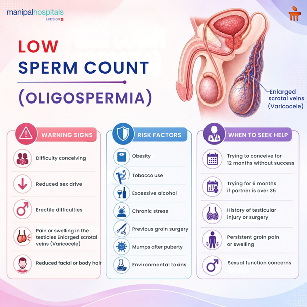 Male fertility and sperm health consultation