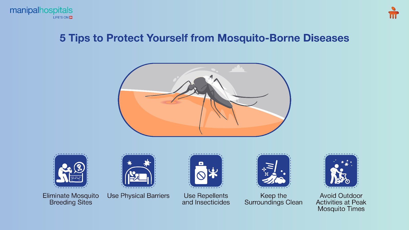 mosquito-borne-disease-prevention-during-monsoon