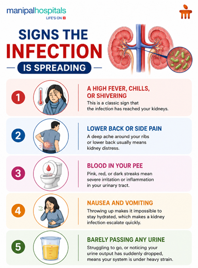 UTI signs in pregnancy